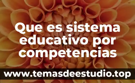 Que es indicadores dde competencias 3 Que es sistema educativo por competencias