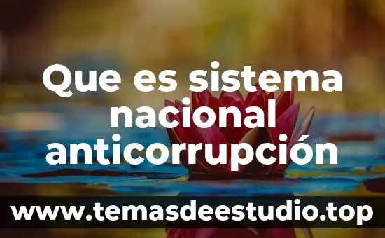Que es el fisco nacional concepto 8 Que es sistema nacional anticorrupción