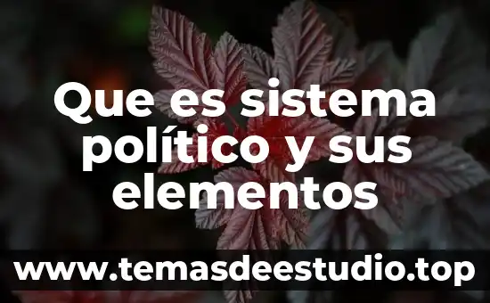 Que es aeropuerto politico 3 Que es sistema político y sus elementos