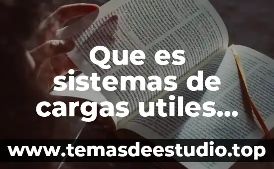 Que es una cargas puntuales en vigas 4 Que es sistemas de cargas utiles satelite