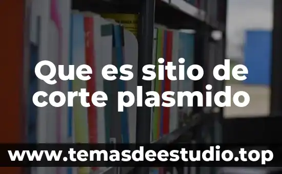 Que es analisis sensible del sitio 4 Que es sitio de corte plasmido