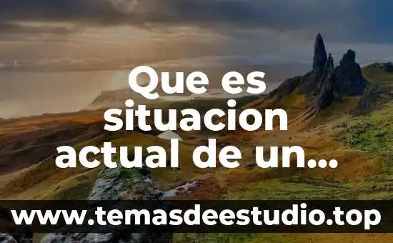 Que es un proyecto rtesanal 3 Que es situacion actual de un proyecto