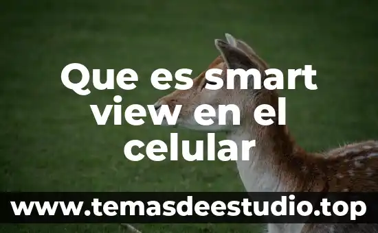 Aermod view que es 4 Que es smart view en el celular