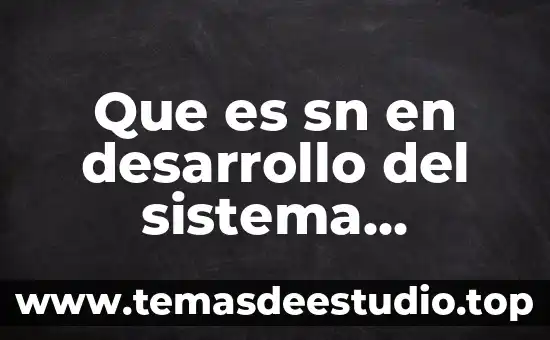Que es el desarrollo back end y front end 7 Que es sn en desarrollo del sistema nervioso central