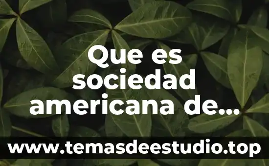 Que es sociedad americana de calidad scielo