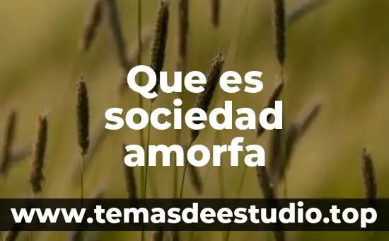 Que es la sociedad unipersonal en bolivia 5 Que es sociedad amorfa