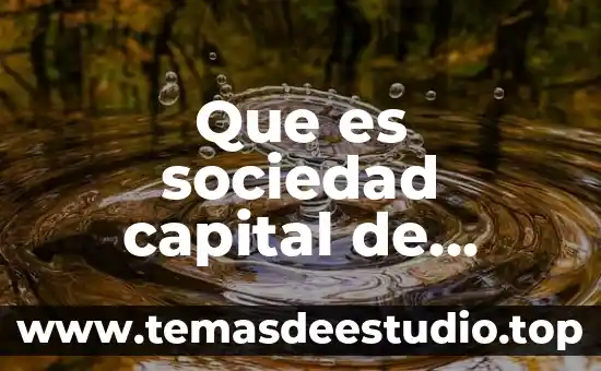 Que es sociedad capital de riesgo
