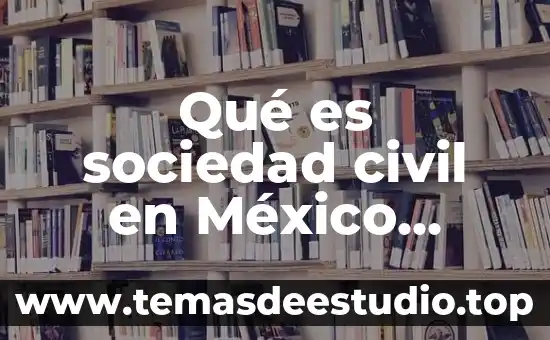 Qué es sociedad civil en México concepto