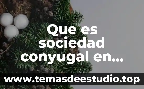 Que es sociedad conyugal en colombia