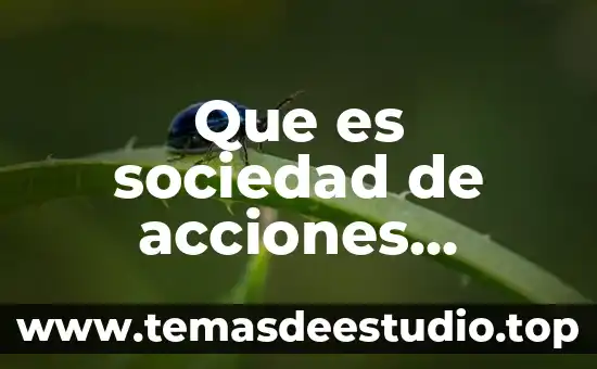 Qué es una sociedad etópica 7 Que es sociedad de acciones simplificadas