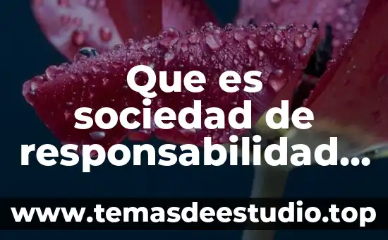 Qué es una sociedad civil de responsabilidad limitada 4 Que es sociedad de responsabilidad limitada resumen