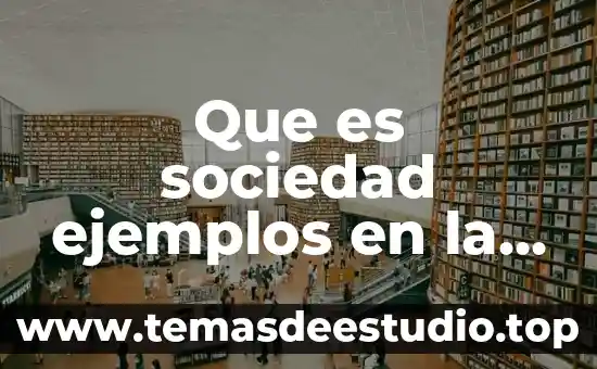 Que es hidrosolubles ejemplos 4 Que es sociedad ejemplos en la vida diaria