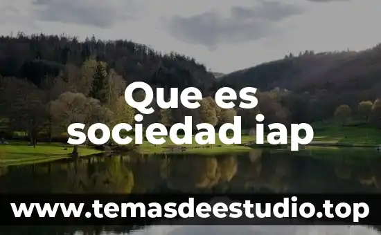 Que es sociedad iap