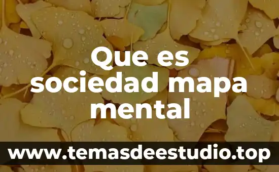 Que es sociedad mapa mental