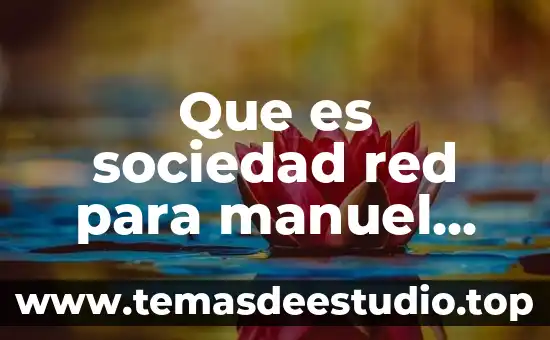 Que es sociedad red para manuel castells