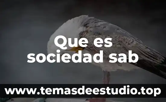 Que es sociedad sab