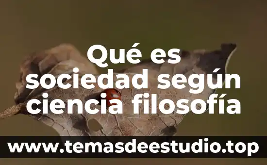 Qué es el all inclusive según la sectur 5 Qué es sociedad según ciencia filosofía