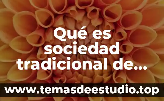 Que es portaobjetos en quimica 6 Qué es sociedad tradicional de México