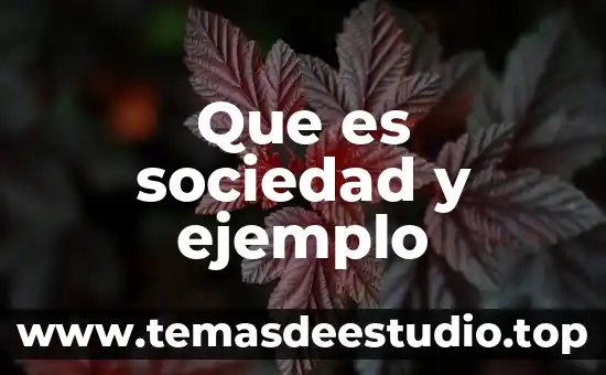 Que es sociedad y ejemplo