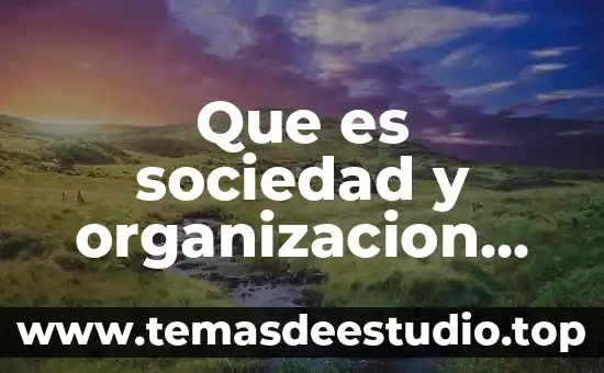 Que es la sociedad unipersonal en bolivia 6 Que es sociedad y organizacion social