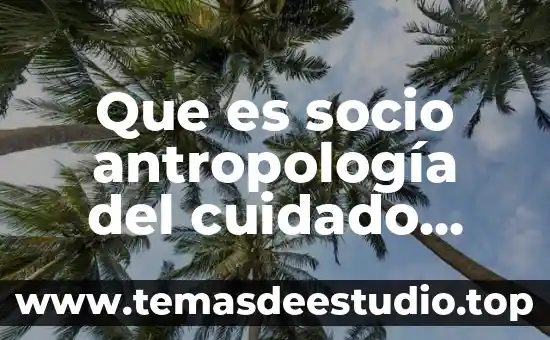 Que es homonimo con autor 4 Que es socio antropología del cuidado autor