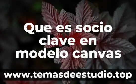 Que es un modelo educativo redalyc 7 Que es socio clave en modelo canvas