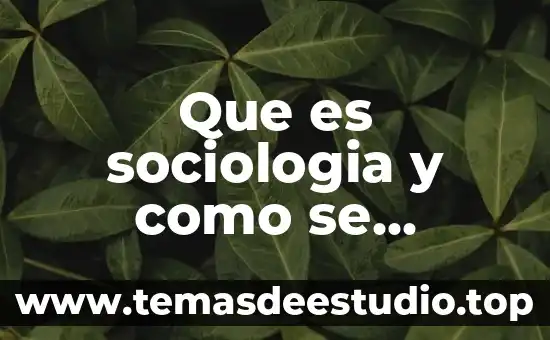 Que es la familia desde la sociologia 7 Que es sociologia y como se relaciona con una empresa