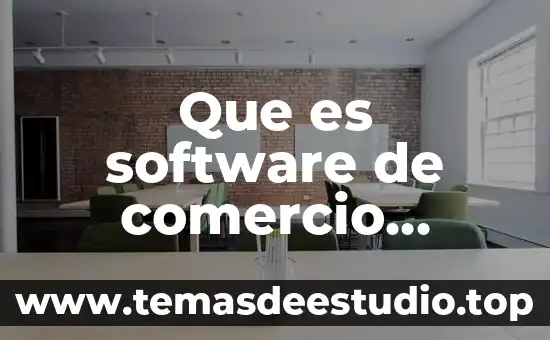 Que es software de comercio electronico