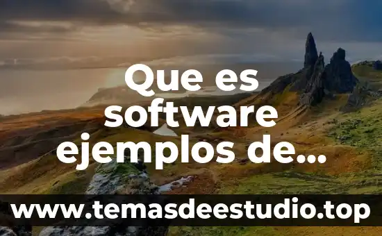 Que es una sociedad por capital 6 Que es software ejemplos de software