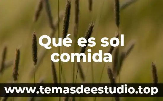 Compuestos en comida que es 4 Qué es sol comida