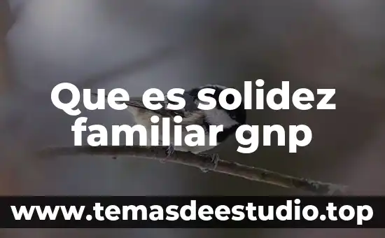Que es contecsto familiar 7 Que es solidez familiar gnp