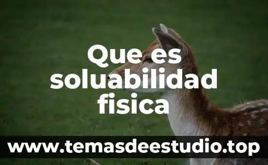 Qué es una sonda en física 5 Que es soluabilidad fisica