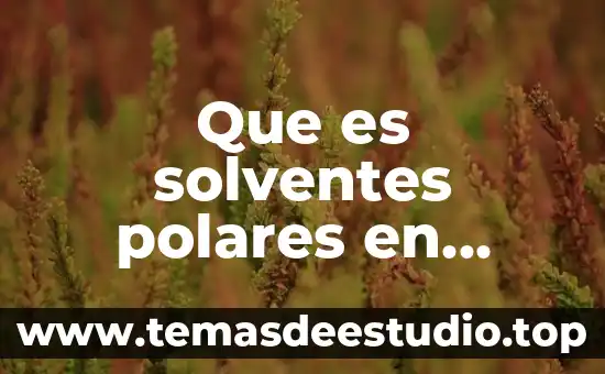 Que es la arquitectura como manifestacion artistica 8 Que es solventes polares en quimica
