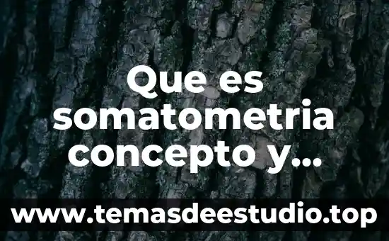 Que es dadaismo concepto 8 Que es somatometria concepto y objetivos