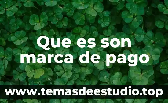 Que es son marca de pago