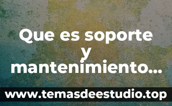 Que es soporte y mantenimiento a software