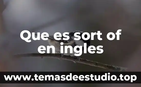 Qué es un grant of probate en México 3 Que es sort of en ingles