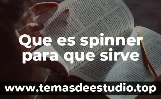 Que es el ayuno y para que sirve 8 Que es spinner para que sirve