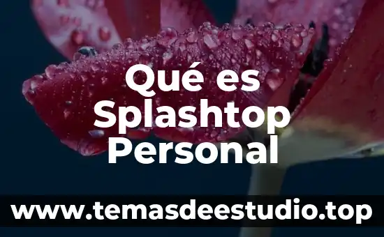 Qué es Splashtop Personal
