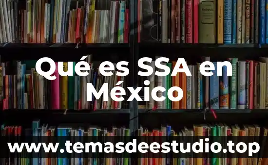 Qué es SSA en México
