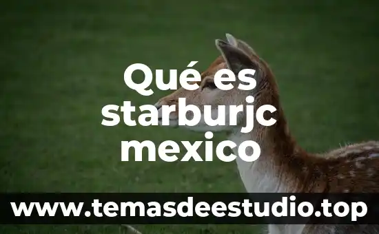 Que es la pótesis en una investigación 5 Qué es starburjc mexico