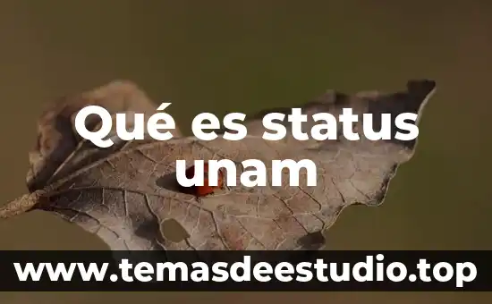 Feria del empleo unam que es 3 Qué es status unam