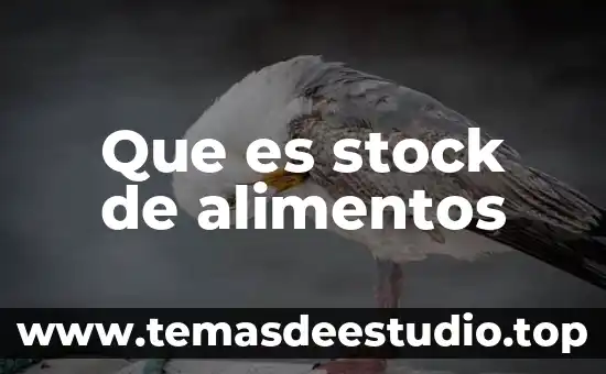 Ciencia de alimentos que es la carrera 5 Que es stock de alimentos