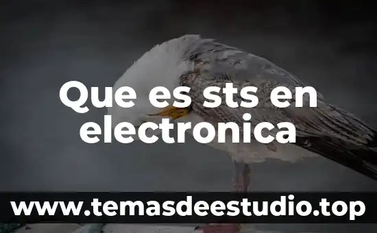 Firma electronica sat para que es 4 Que es sts en electronica