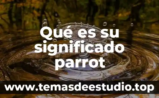 Que es excepción significado 7 Qué es su significado parrot