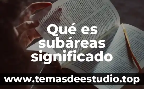 Que es el significado de simetria 6 Qué es subáreas significado