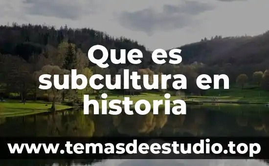 Que es subcultura en historia