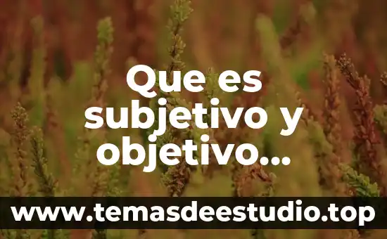 Que es ser no subjetivo 5 Que es subjetivo y objetivo ejemplo