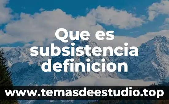 Que es el autismo definicion 6 Que es subsistencia definicion