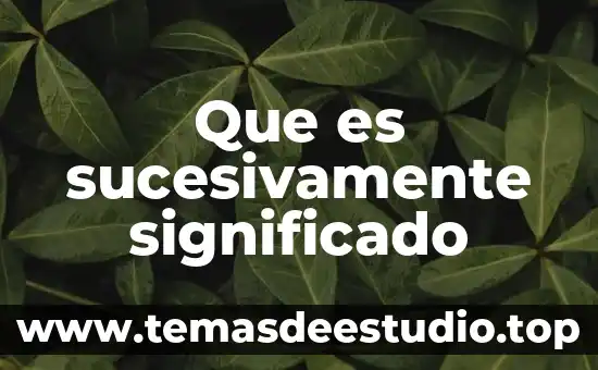 Que es el significado en la argumentación jurídica 4 Que es sucesivamente significado